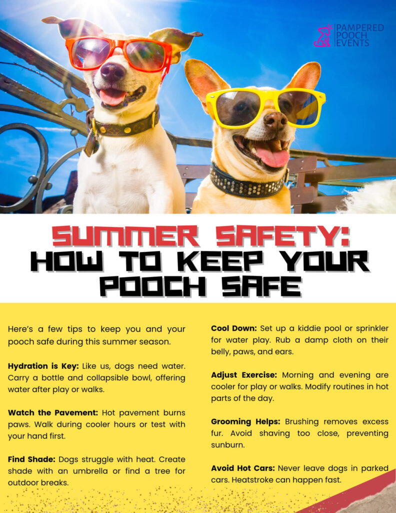 Summer Safety: How To Keep Your Pooch Safe