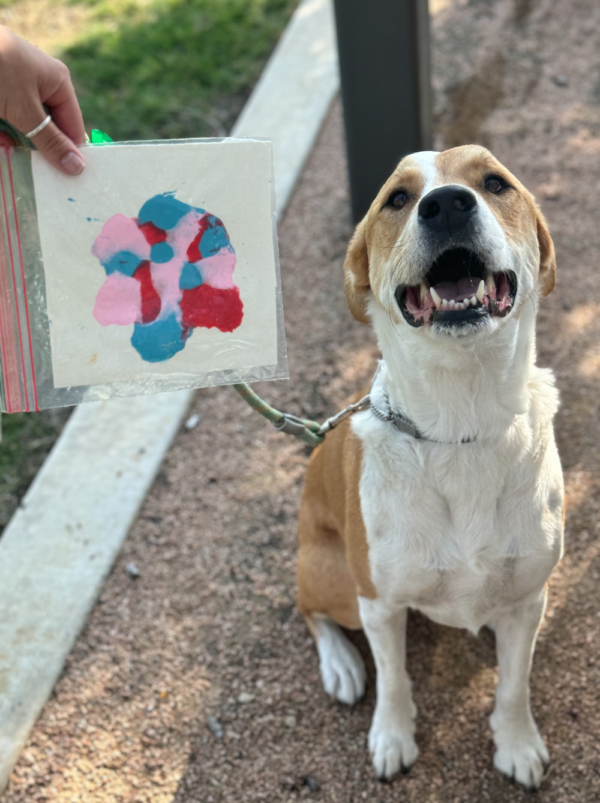 Pawtrait & Pup-Tails