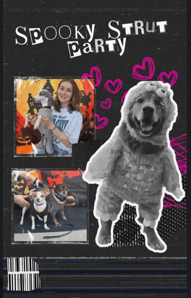 Dog Parent FAQ dog friendly events in Dallas this October