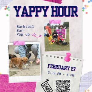 Barktail Bar Pop Up at All American Pet Resorts Dallas
