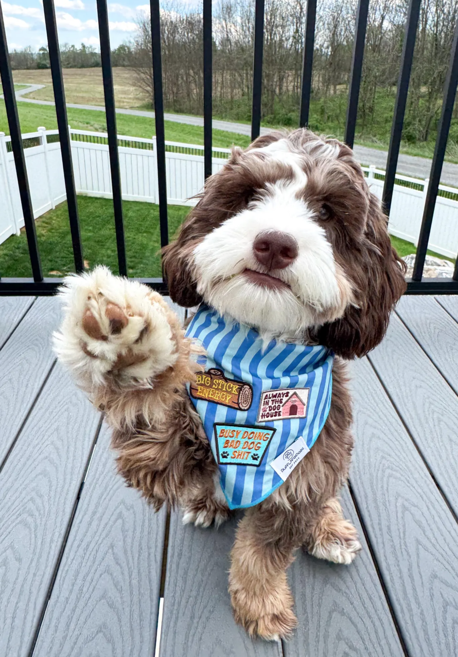 The Bandana and Bark Cream Bar The Bandana and Bark Cream Bar